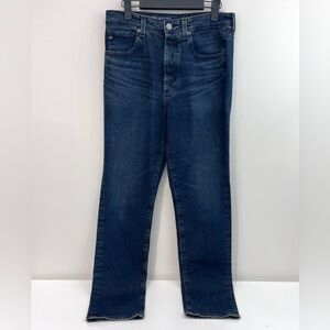AG ADRIANO GOLDSCHMIED Alexxis Slim High Rise Vintage Straight Jean Sz 29